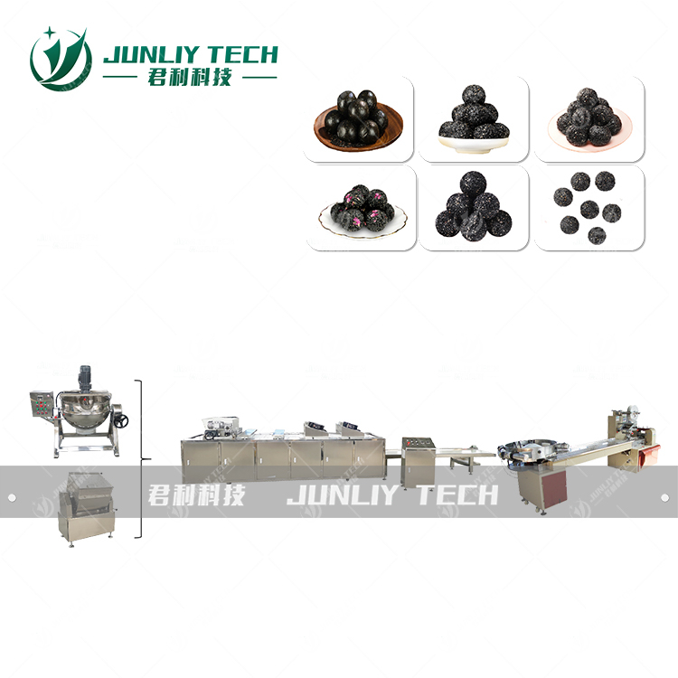 黑芝麻丸生产线