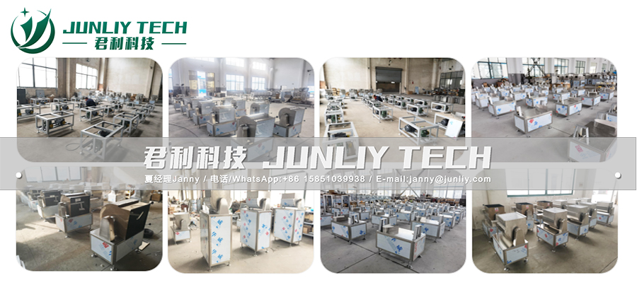 黑芝麻丸搅拌机 